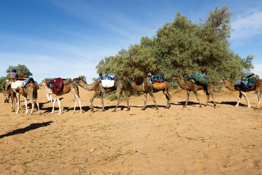 Similar image 21340139