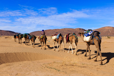 Similar image 21340149