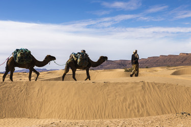 Similar image 21340150