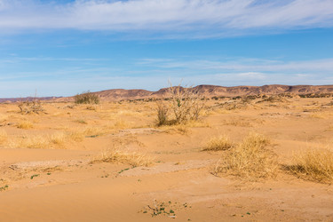 Similar image 21340159