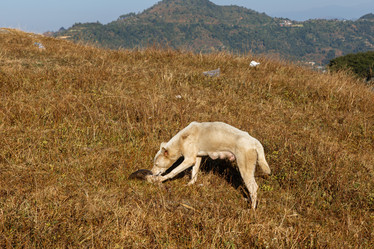 Similar image 21338332