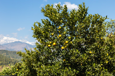 Similar image 21338334