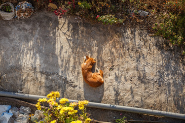 Similar image 21338336