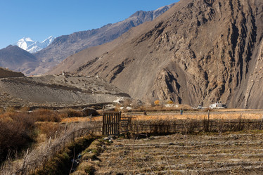 Similar image 21338362