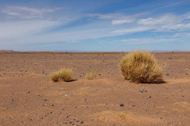 Similar image 21340267