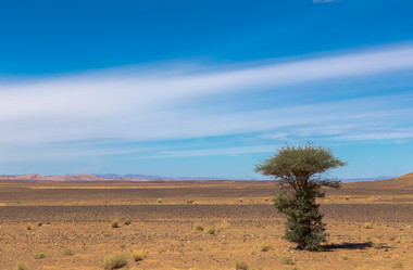 Similar image 21340270