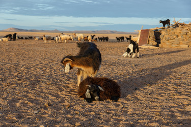 Similar image 21340275