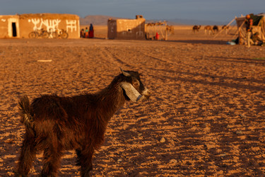 Similar image 21338370