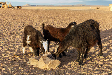 Similar image 21340277