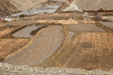 Similar image 21338209