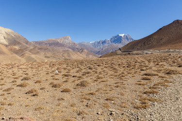 Similar image 21337590