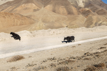 Similar image 21337603