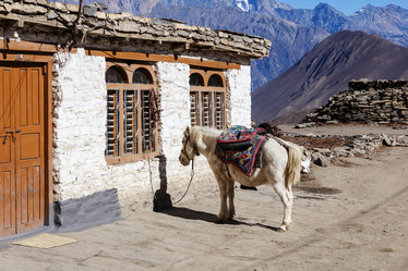 Similar image 21338320