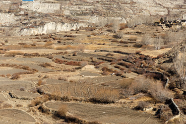 Similar image 21337611