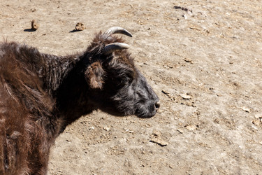 Similar image 21337612