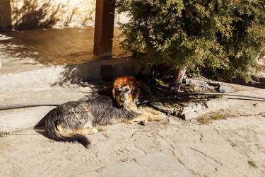 Similar image 21337619