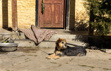 Similar image 21337623