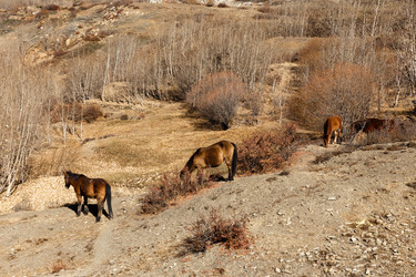 Similar image 21337624