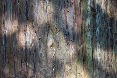 Similar image 21337641