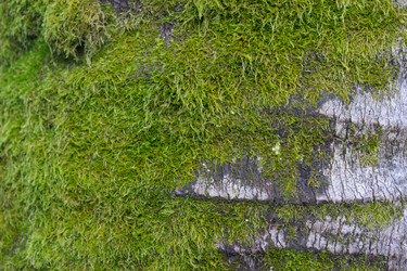 Similar image 21337647