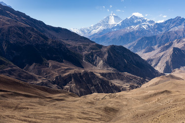 Similar image 21338244