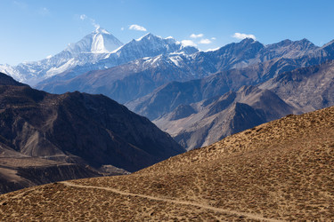 Similar image 21338248