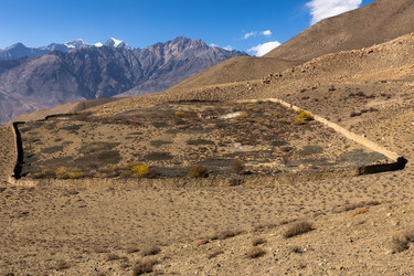 Similar image 21338275