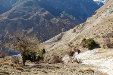 Similar image 21337652