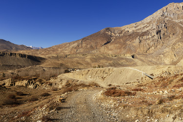 Similar image 21338289