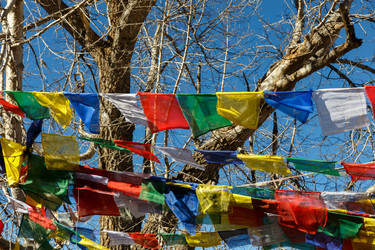 Similar image 21337658