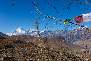 Similar image 21337659