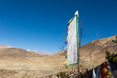 Similar image 21337661