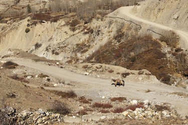 Similar image 21337667