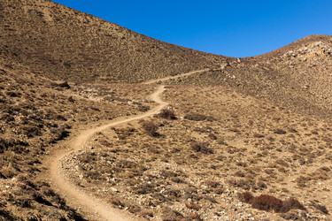 Similar image 21337668