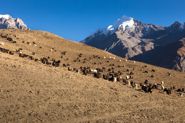 Similar image 21337671