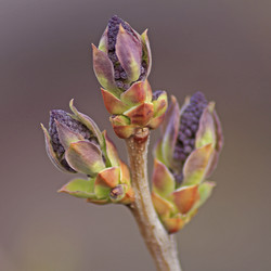 Similar image 21337676