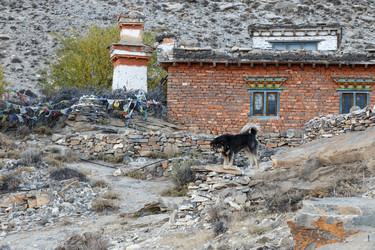 Similar image 21337685