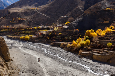 Similar image 21337689