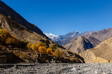 Similar image 21337709