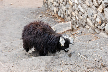 Similar image 21337720