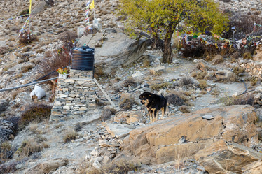 Similar image 21337724