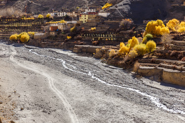 Similar image 21337725