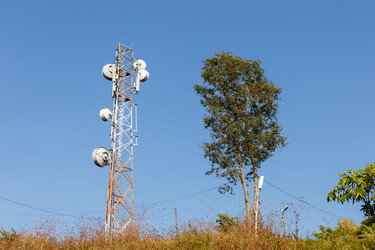 Similar image 21338262