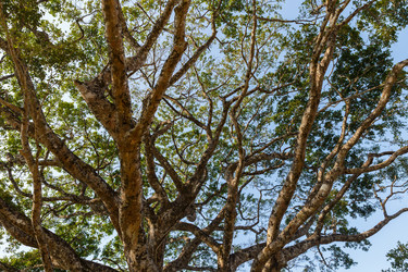 Similar image 21338264