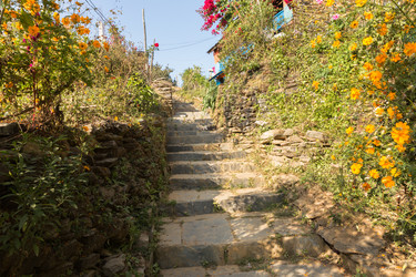 Similar image 21338266