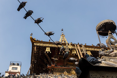 Similar image 21338279