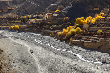 Similar image 21338285