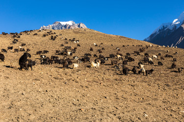 Similar image 21338298