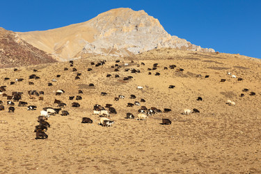 Similar image 21338328