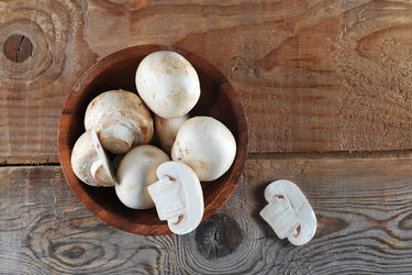 Similar image 21339699